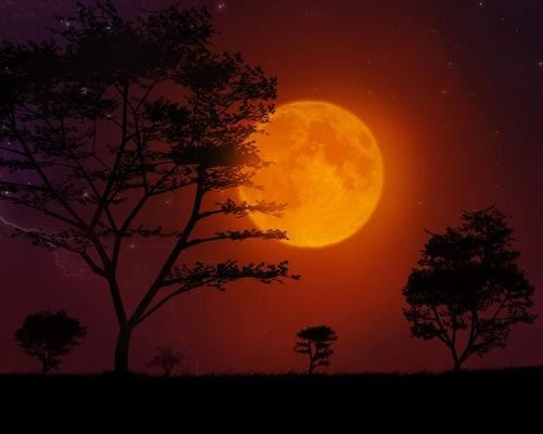 业务部岗位职责