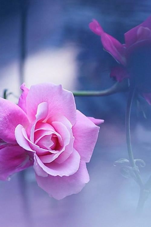 战略投资发展岗位职责