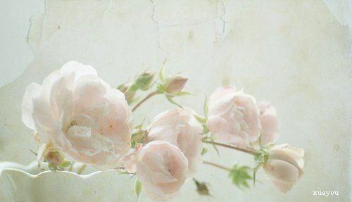 物业租售岗位职责