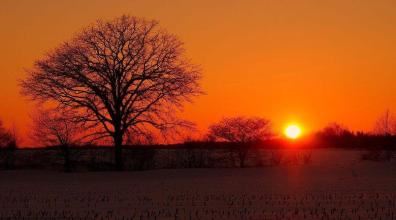 装饰材料员岗位职责