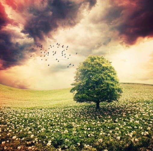 专利撰写专员岗位职责