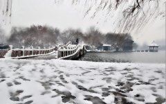 运输部主管岗位职责