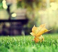 肿瘤外科岗位职责