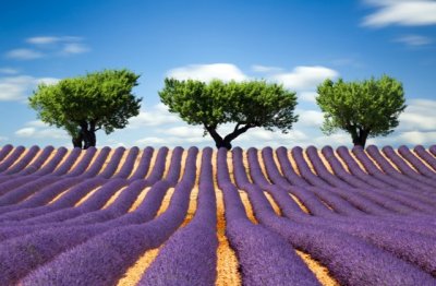 在线销售客服主管岗位职责