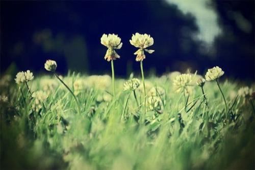 中国平安银行岗位职责