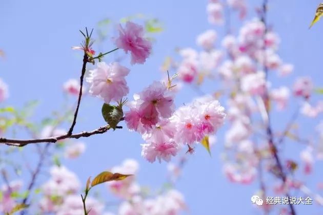 职业买手岗位职责