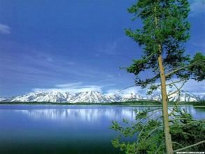 整合营销主管岗位职责