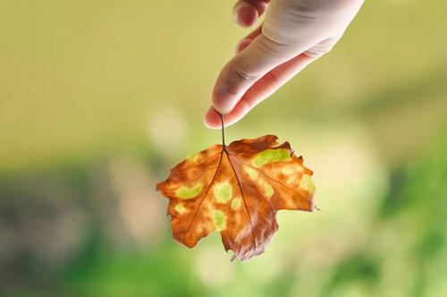 验收养护员岗位职责