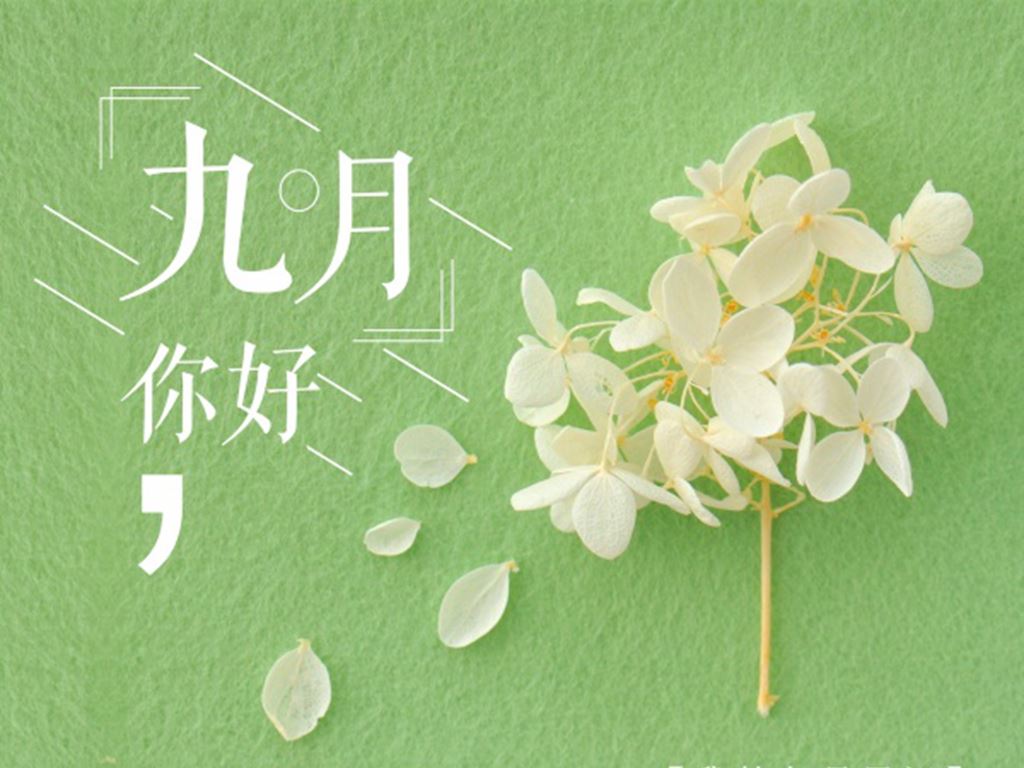 知识专员岗位职责