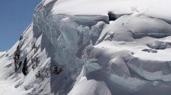 知识产权营销顾问岗位职责