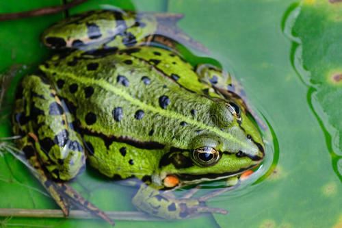 售后在线客服岗位职责