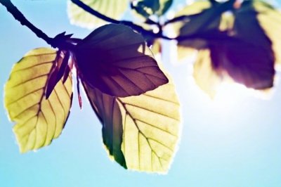 五金业务员岗位职责