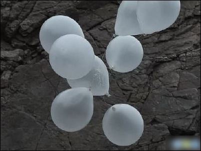 头砧板厨师的岗位职责