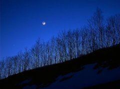 债券研究员岗位职责