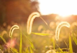 执业中医医师岗位职责