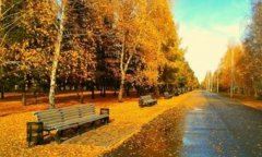 转载机司机岗位岗位职责