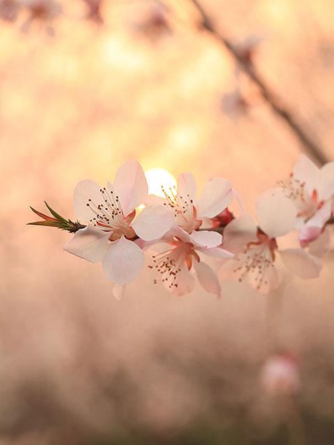 杂志社记者岗位职责