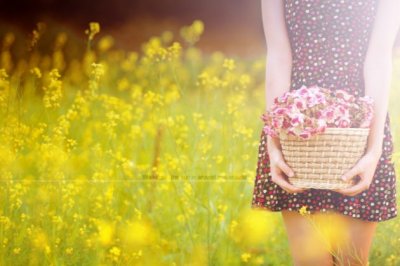 资料整理专员岗位职责