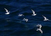 押运员安全岗位职责