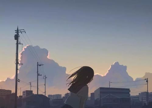 项目优化师岗位职责