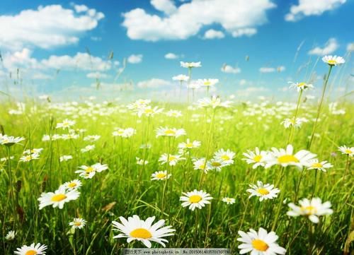 早教运营岗位职责