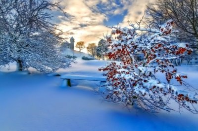 专卖店销售助理岗位职责