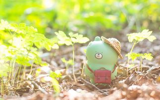 消防中控员岗位职责