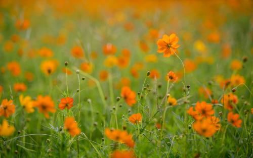 夜班操作岗位职责