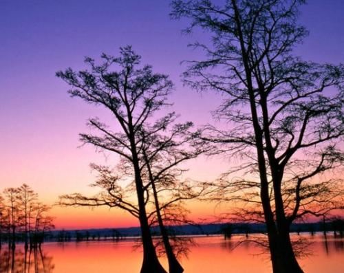 产品工业造型设计岗位职责