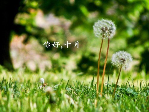 幼儿体智能老师岗位职责