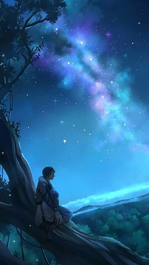 财经主播岗位职责