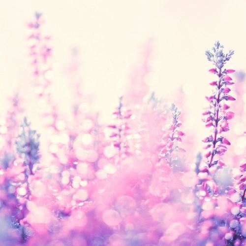 IT质控岗位职责