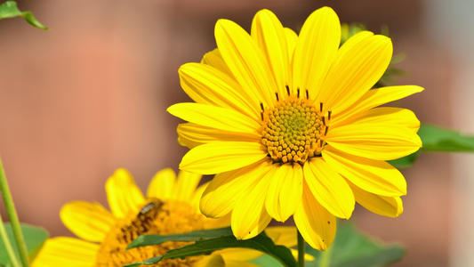 网络在线销售客服岗位职责