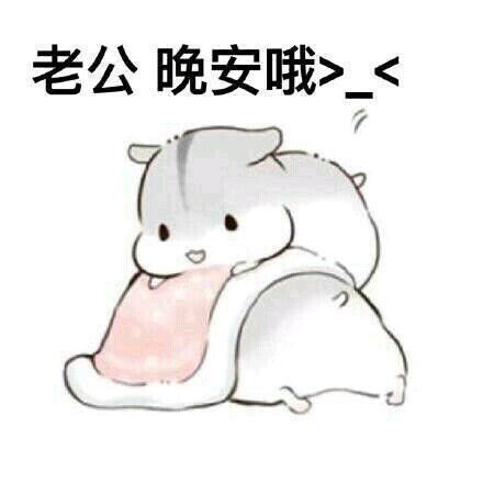 财务职员岗位职责