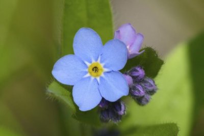 装潢总监岗位职责