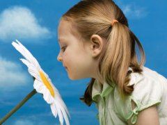 业务主管岗位职责