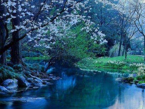 产品整合营销岗位职责