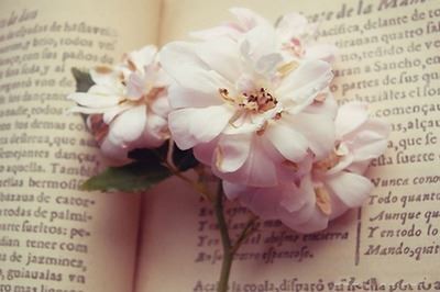 节目总编岗位职责