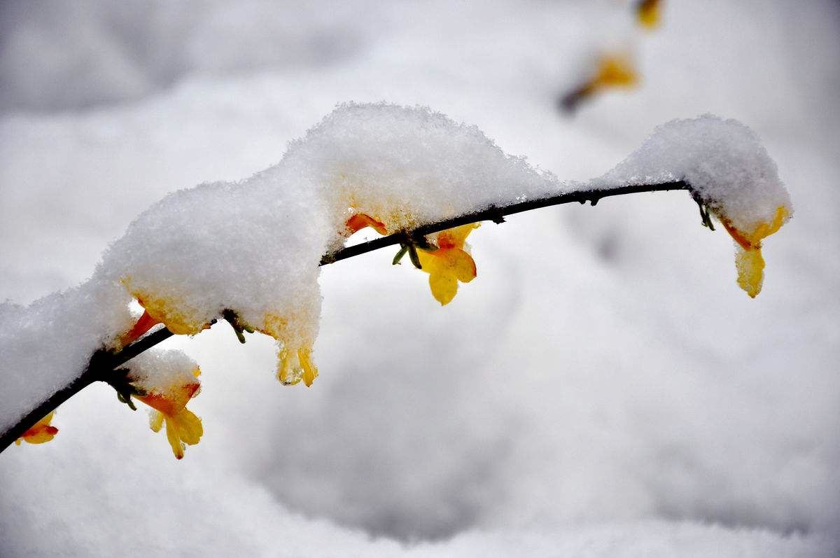 预算资料员岗位职责