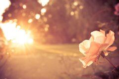 装饰工程业务经理岗位职责