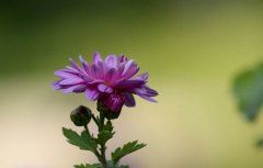 微信在线客服岗位职责