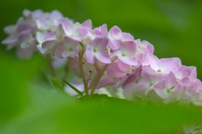 物业秩序维护主管岗位职责