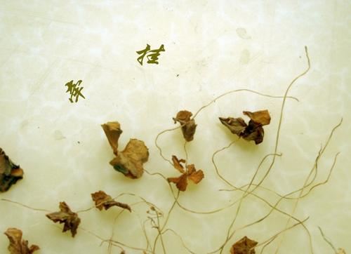 自控工程师岗位职责