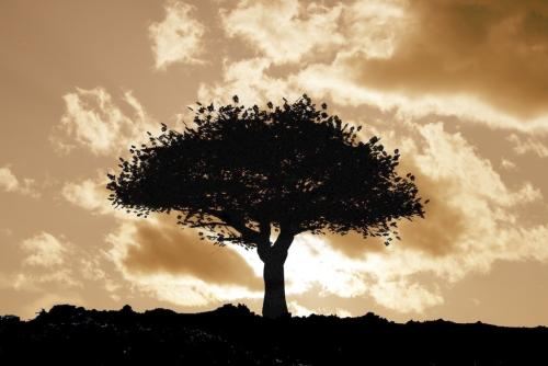 驻场运维岗位职责