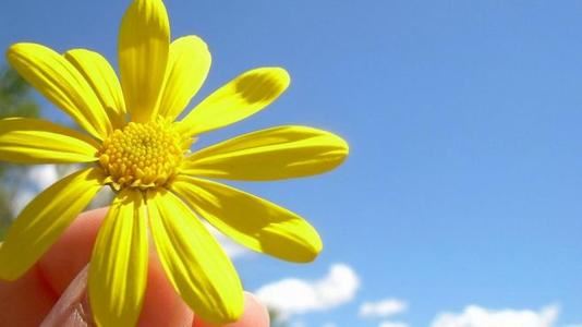 医疗项目经理岗位职责