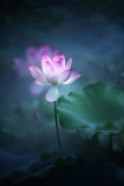 数据治理岗位职责