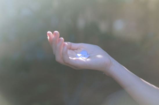 支付宝业务经理岗位职责