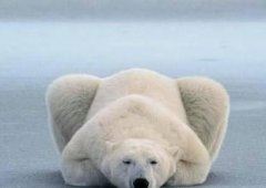 肿瘤医药代表岗位职责