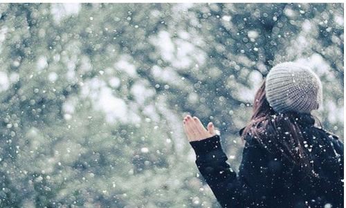 指导老师岗位职责