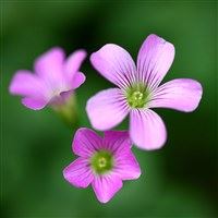 设备制图岗位职责